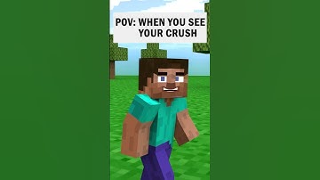 POV: When you see your crush | Minecraft Animation | #shortsvideo #minecraftshorts #shorts