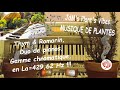 429,62Hz-Thym&Romarin-Duo Pianos-Gamme Chromatique-Musique de plantes-JdM Plant's Vibes-2023-02-23