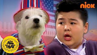 Puppy Dog Show GONE WRONG 🐕 | All That