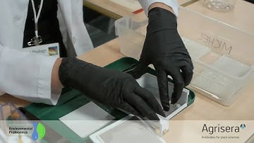 Western blotting - tips and troubleshooting Part I