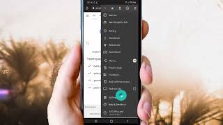 Android Phone : How to set Google Chrome Safe Browsing as No protection screenshot 3