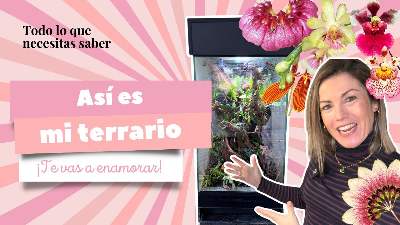 😍 Mi terrario para plantas: ¡todo lo que necesitas saber!