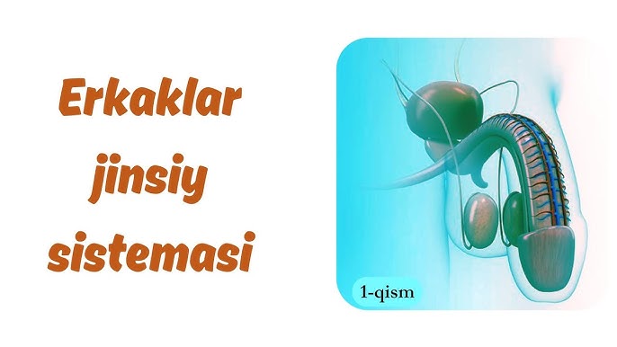 Shisha ortida qora tanli ayol porno Yalangoch qiz va rapier