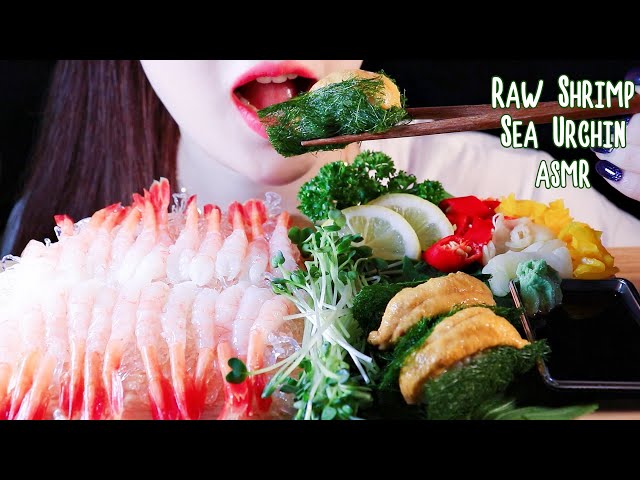 ASMR RAW SHRIMP + SEA URCHIN 단새우 + 성게알  ASMR NO TALKING EATING SOUNDS MUKBANG