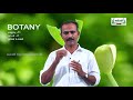 11th Botany தாவர உலகம் பாடம் 2 Kalvi TV