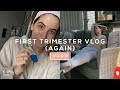 FIRST TRIMESTER VLOG (2nd Pregnancy) | Lily Pebbles