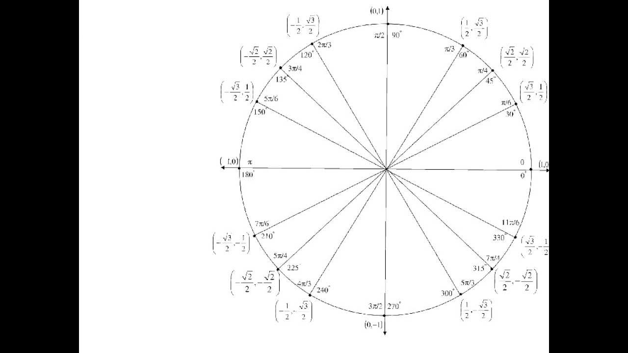 Тригонометрический круг 10 класс алгебра. Единичная окружность тригонометрия 10 класс. 3п на числовой окружности. Окружность пи с числами. Точка 17п/6 на окружности.