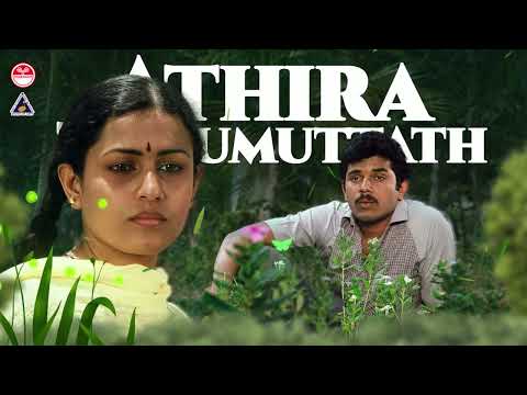 Aathira Thirumuttathambilipoo Song | | Kayyum Thalayum Purathidaruthu | KJ Yesudas | K S Chithra