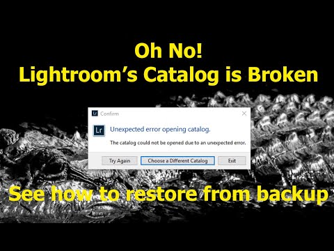 Restoring the Lightroom Classic Catalog from a Backup