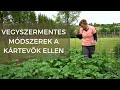 Borbás Marcsi: Kertem - Vegyszermentes módszerek a kártevők ellen (12. rész)