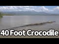 40 Foot Crocodile Seen In The Congo 40 Foot Crocodile Seen In The Congo