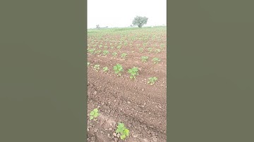 YouTube short video#short#training keyboard 🌿🌱👳🔥