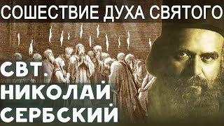 Сoшecтвие Дyxa Cвятогo. Троица. Пятидесятница. Николай Сербский Свт.