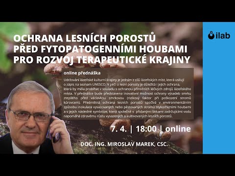 Video: Infekce u arbuskulární mykorhizy?