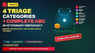 4 TRIAGE CATEGORIES + COMPLETE ABC PROTOCOL IN VETERINARY EMERGENCY - PART 2