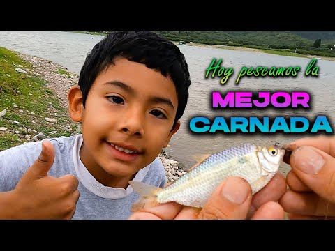Como pescar MOJARRAS -  La mejor CARNADA para pescar  