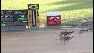 Gawler-08112015-Race-4