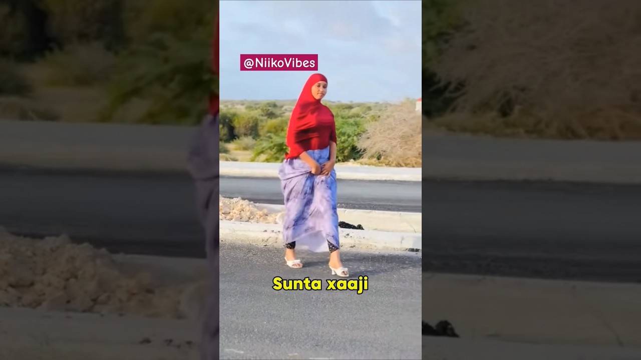 Hambalyo Rer Galmudug Somali Girls | Niiko Cusub Somali Girls | Shanta Somali Dance Compilation 2025
