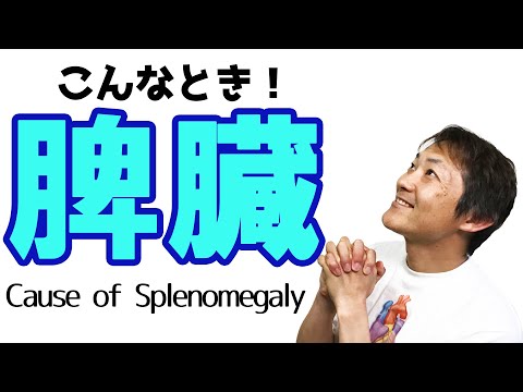 こんなとき！脾臓の診察(Examination of the spleen)：胆嚢・脾臓の診察(Part.4)