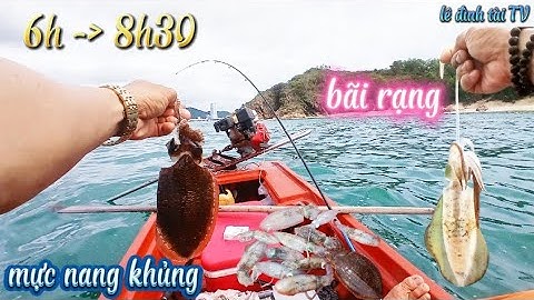 Câu mực 1 buổi sáng gặp em mực nang - mực lá quá đã ! câu cá giải trí ! tài fishing ! #fishing#fish