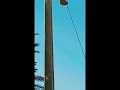 قصيدة شعر الخائن ينتسي ولا أثر له يبقي 