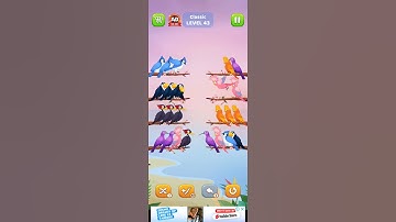 Sort Bird 🕊️ game level 43