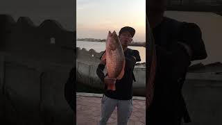 Mancing Ikan Kakap Merah #shorts #mybloopers