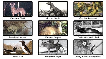 Every Extinct Animal That Might Still Be Alive