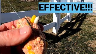 Carp Fishing With Double Hookbaits Pop-Up Corn