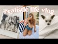 Bits Of My Life (May &amp; June) - New Foster Dog, Palm Springs, The Vegan View