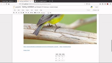 Introduction to markdown in jupyter notebook