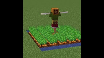 How To Make A Scarecrow In Minecraft. #minecraft #minecraftraj #shorts