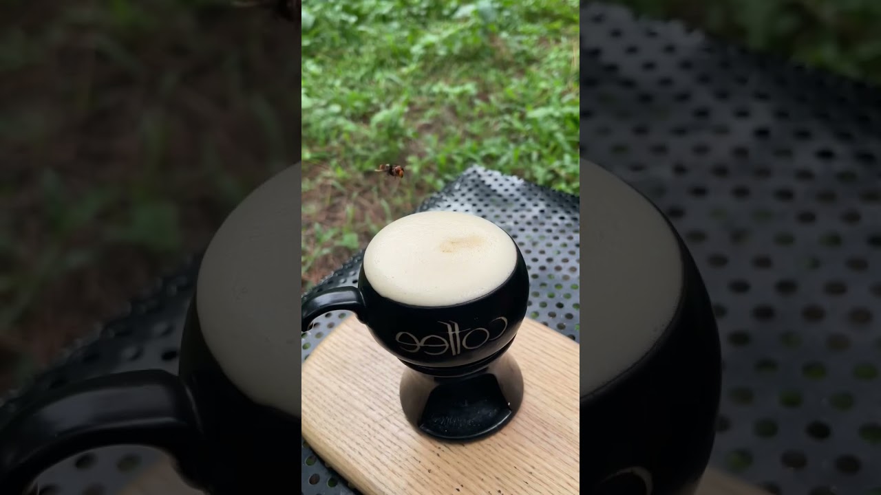 Enjoy a cup of coffee in nature ☕️ 