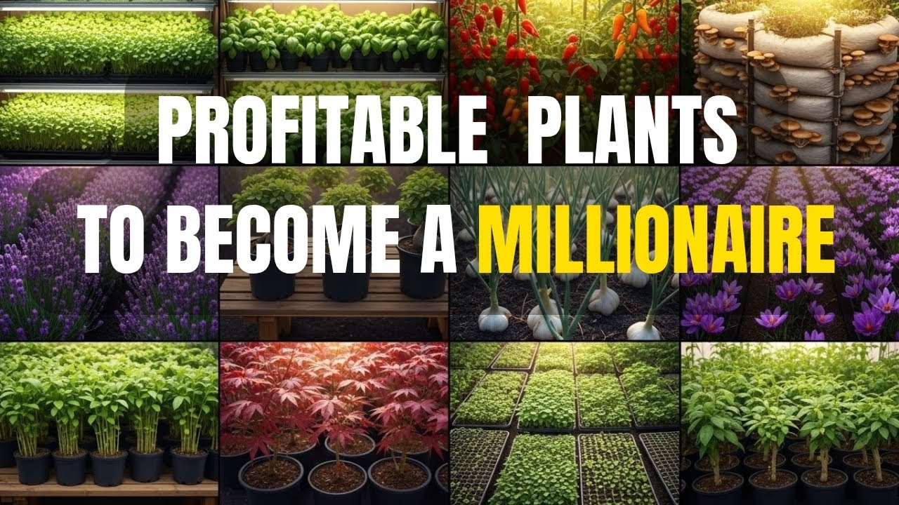 20 Profitable Plants That Will Make You RICH (Start Small, Earn Big!)