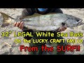 LEGAL White Sea Bass Surf Fishing with the Lucky Craft + HUGE Lucky Craft Giveaway
