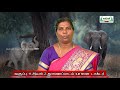 11th Tamil விரிவானம் யானை டாக்டர் இயல் 2 Kalvi TV
