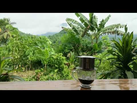 Video: Vijetnamska Kava