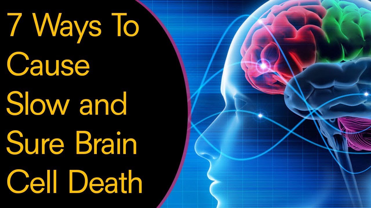 7 Ways To Cause Slow and Sure Brain Cell Death - YouTube