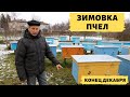 Состояние пчелосемей на конец декабря | Зимовка пчел