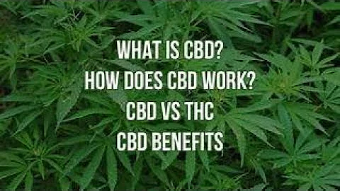 Disabled Woman Used CBD Products See What Happened...