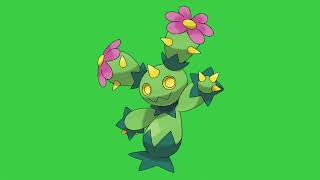 Maractus's cry - Pokèmon