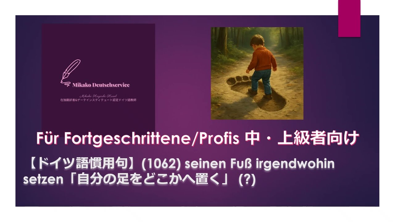 洋書(ドイツ語)Funktionen des Fiktiven 洋書(ドイツ語)Funktionen des Fiktiven 洋書(ドイツ語