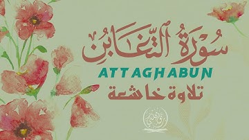 من نفحات الصوت الندي القارئ طارق محمد | تلاوة راائعة سورة التغابن || Surah At-Taghabun