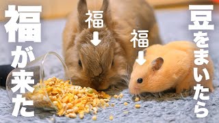 今日は節分！豆まきしたらかわいい福がやってきたNo.115