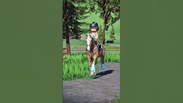 UPDATE COMES OUT TMRRRR #horse #sterstallion #horseenthusiast #strideway #roblox #horsefan