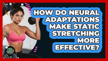 How Do Neural Adaptations Make Static Stretching More Effective? - High Energy Training Hub