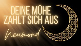 Deine Mühe zahlt sich aus 🌙✨ NEUMOND in Stier | 8. Mai 2024  • Tarot • Horoskop • Astrologie