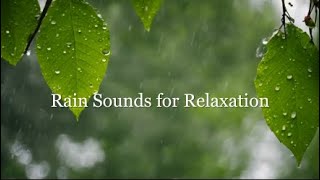 Ambient Sounds for Relaxation | Relaxing Music and Rain Sounds for Stress Relief and Meditation