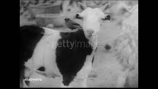 India in the 1800s | Rare Vintage Historical Footage | Getty Images Archive