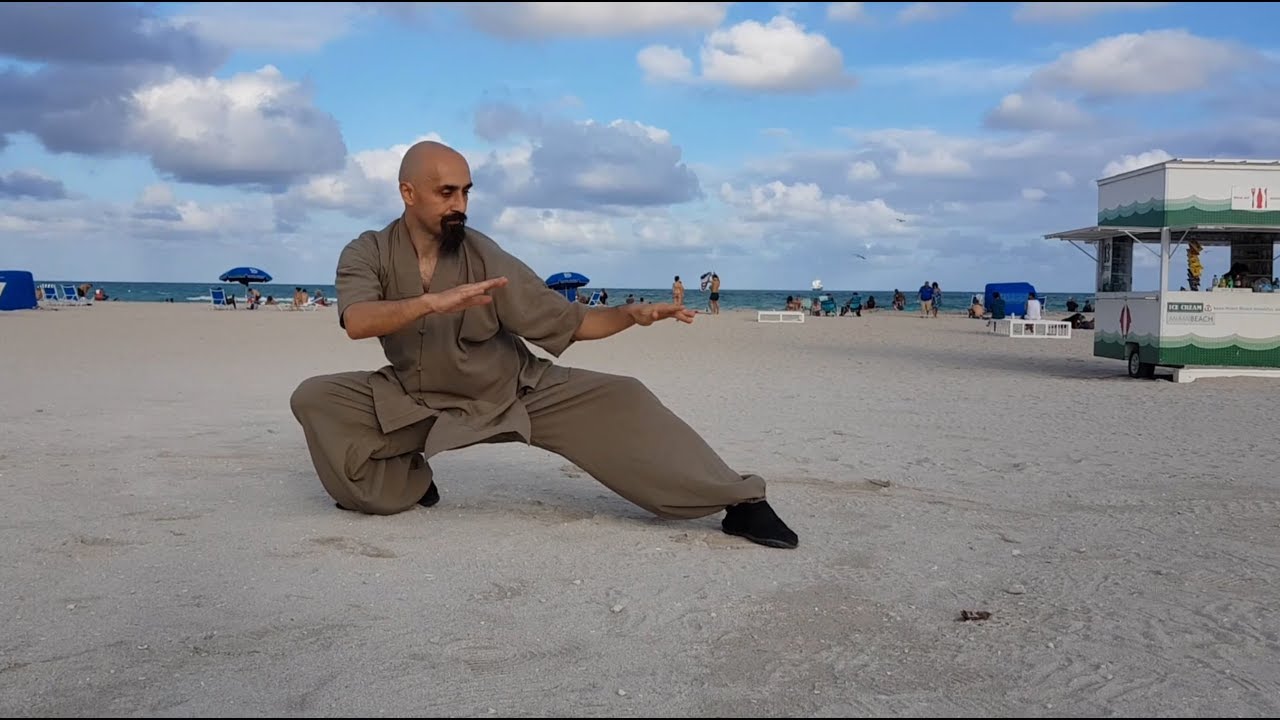 TAIJI IN MIAMI - Ismet Himmet & Chen Goek